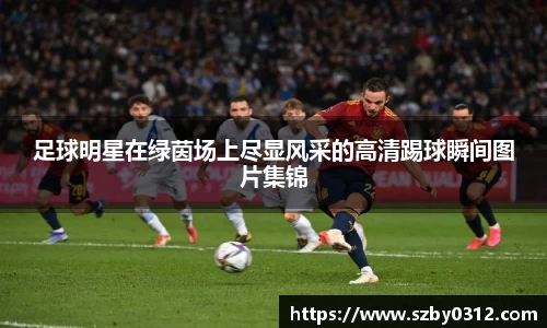 足球明星在绿茵场上尽显风采的高清踢球瞬间图片集锦