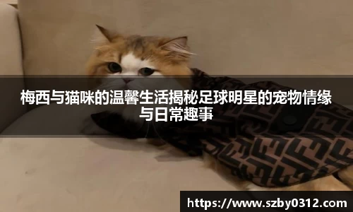 梅西与猫咪的温馨生活揭秘足球明星的宠物情缘与日常趣事